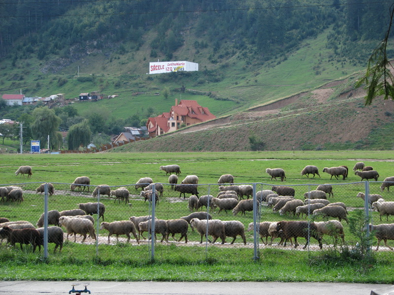 2007-09-12 08-28-06.JPG - 2007-08/09-RO Camp Brasov